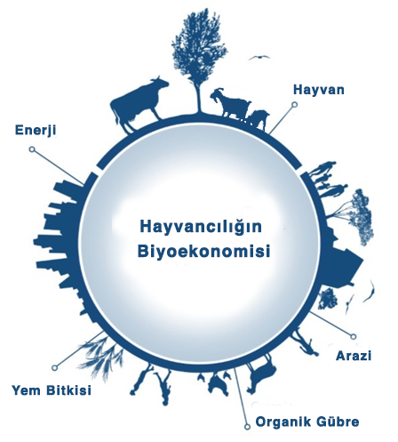 TETA Teknik Kurucusu Ömer Tömek’in Vefatının 1'nci Yılı..!